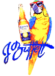 coronabird